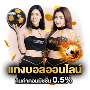 วิธีแทงบอลเต็ง บนเว็บ DUCKBET